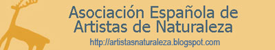 Enlazar con el blog de la Asociación Española de Artistas de Naturaleza