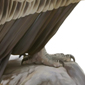 Buitre leonado / Griffon vulture